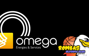 OMEGA Energies & Services