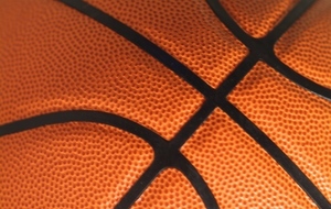 Focus  sur les U 15f