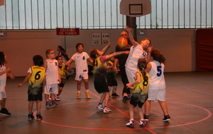 565bb2596fd89_IMG00863.JPG