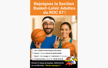 Basket Loisir Adultes
